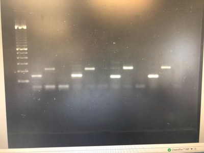 WhatsApp Image 2026-02-20 at 21.52.35.jpeg