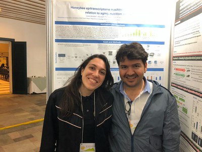 WhatsApp Image 2026-02-20 at 21.52.36 (4).jpeg