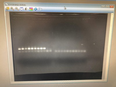 WhatsApp Image 2026-02-20 at 21.52.36.jpeg