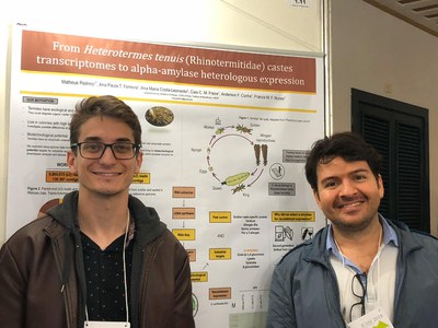 WhatsApp Image 2026-02-20 at 21.52.37 (1).jpeg