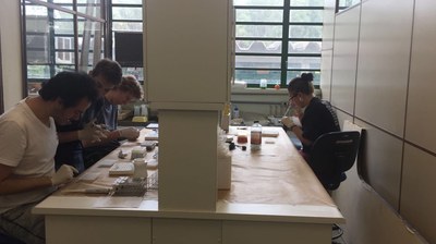 WhatsApp Image 2026-02-20 at 21.52.46 (2).jpeg