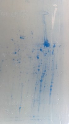 WhatsApp Image 2026-02-20 at 21.52.46.jpeg